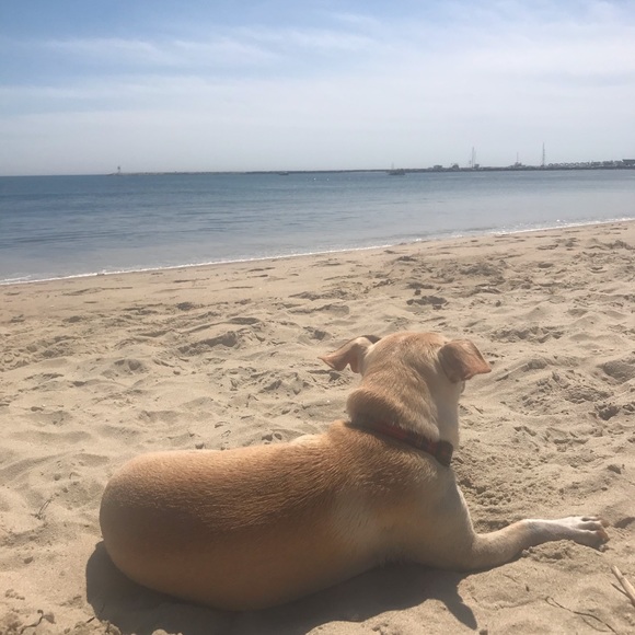 Meet your Posher, Morgan Starr - Picture 4 of 10